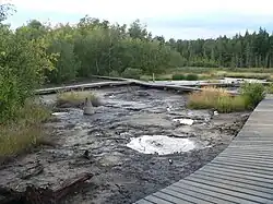 Národní přírodní rezervace Soos