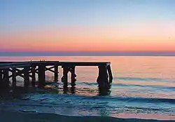 Mini Molo v roce 2016