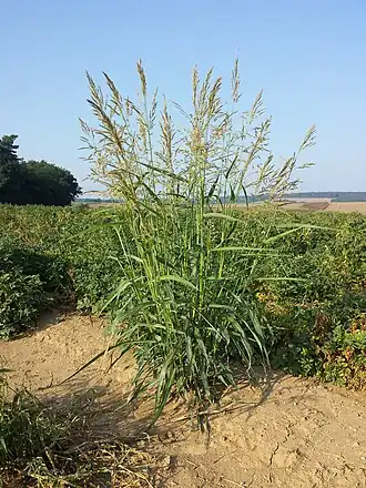 alternativní popis obrázku chybí