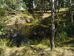 Přírodní památka Soseňský lom