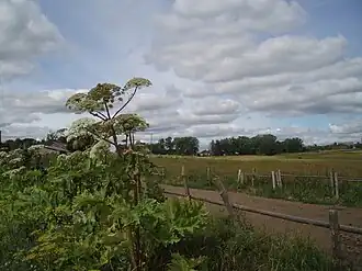 alternativní popis obrázku chybí