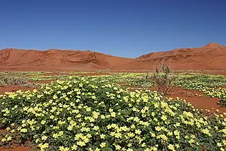 alternativní popis obrázku chybí