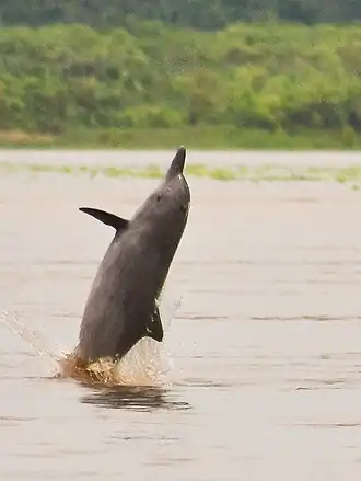 alternativní popis obrázku chybí