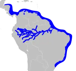 Areál rozšíření zástupců rodu Sotalia (modře)