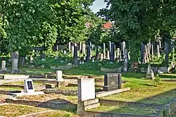 Souš - židovský hřbitov 2.JPG