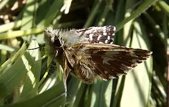 alternativní popis obrázku chybí