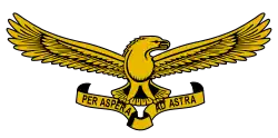 Emblém South African Air Force
