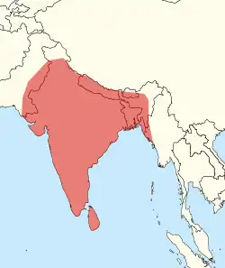 Areál rozšíření