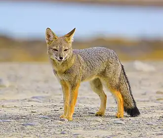 alternativní popis obrázku chybí