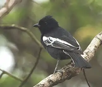 alternativní popis obrázku chybí