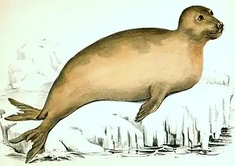 Kolorovaná kresba (Benjamin Waterhouse Hawkins, 1844)