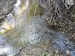 Soutok Karapolisu (vlevo) s Malūndaubė (vpravo) u vsi Šakvietis