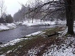Soutok Divoké Orlice a Rokytenky v Žamberku