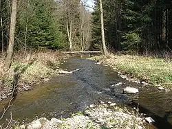 Soutok Jánského a Vranidolského potoka pod vsí Březí