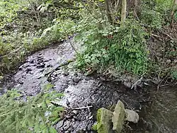 Soutok potoka Lichnička a Davídka, vojenský újezd Libavá