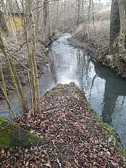Soutok Mešnice a Opusty