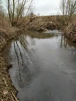 Soutok Mlýnky (vlevo) a Porubky