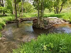 Soutok Odry a Střelenského potoka