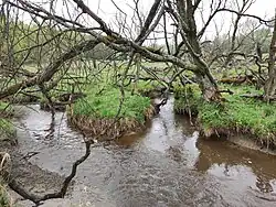 Soutok Plazského potoka a Milovanského potoka