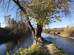 Soutok Odry (vlevo) a Olše