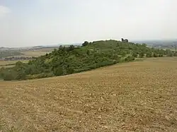 Pohled na vrch Sovice se skaliskem Kočka ze severozápadu, od Bílé stráně