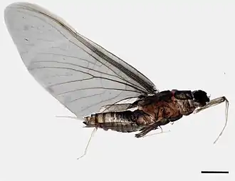 alternativní popis obrázku chybí