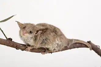 alternativní popis obrázku chybí