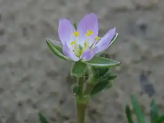 alternativní popis obrázku chybí