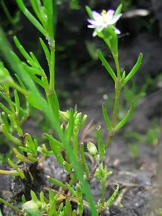 alternativní popis obrázku chybí