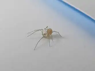 alternativní popis obrázku chybí