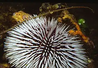 alternativní popis obrázku chybí