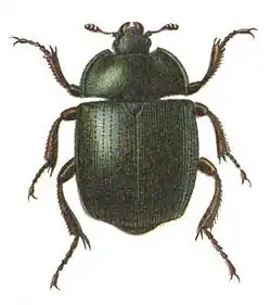 alternativní popis obrázku chybí