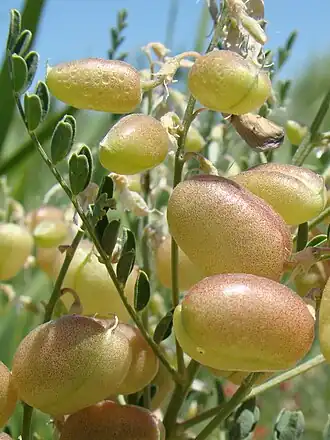 alternativní popis obrázku chybí