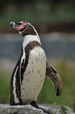 alternativní popis obrázku chybí