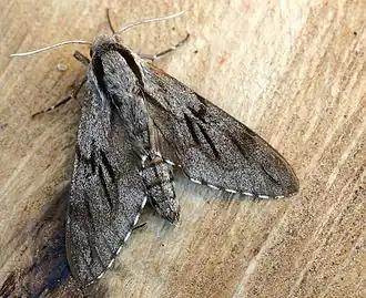 alternativní popis obrázku chybí