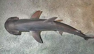 alternativní popis obrázku chybí