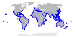 Areál rozšíření