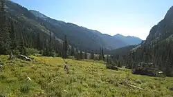 Pavoučí lučina na úpatí hory Mount Maude