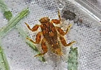 alternativní popis obrázku chybí