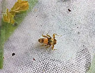 alternativní popis obrázku chybí