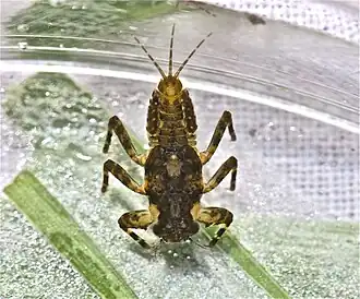 alternativní popis obrázku chybí