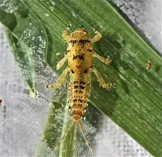 alternativní popis obrázku chybí