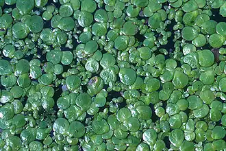 alternativní popis obrázku chybí