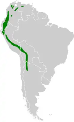 Areál rozšíření