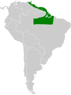 Areál rozšíření