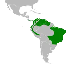 Areál rozšíření