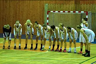 Družstvo žen SK Bruntál, 2016/2017