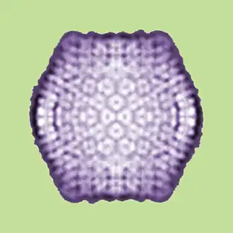 alternativní popis obrázku chybí