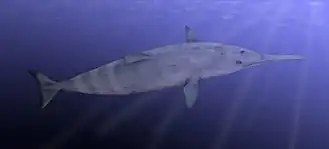 alternativní popis obrázku chybí