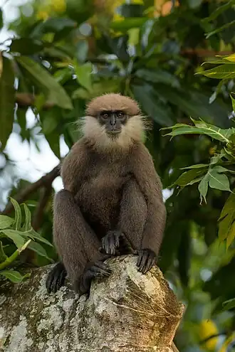 alternativní popis obrázku chybí